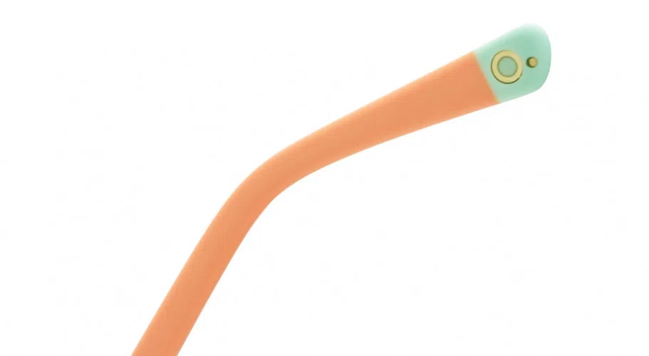 Etnia Barcelona AVINYO 3 SUN Sunglasses - view 21